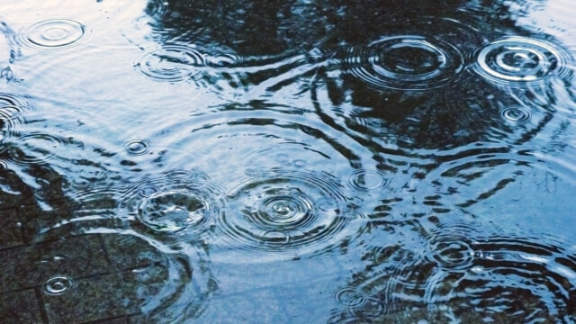 雨に濡れる地面のイメージ画像
